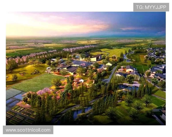 老哥俱乐部体育官网的历史沿革与未来发展战略展望