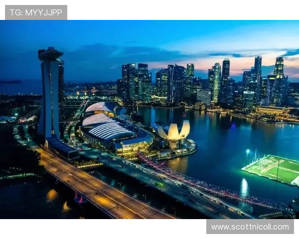 新加坡真人娱乐城的未来发展趋势，行业专家预测新变化与新机遇